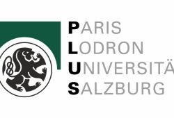 PLUS Logo RGB farbe