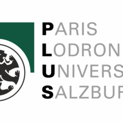 PLUS Logo farbe