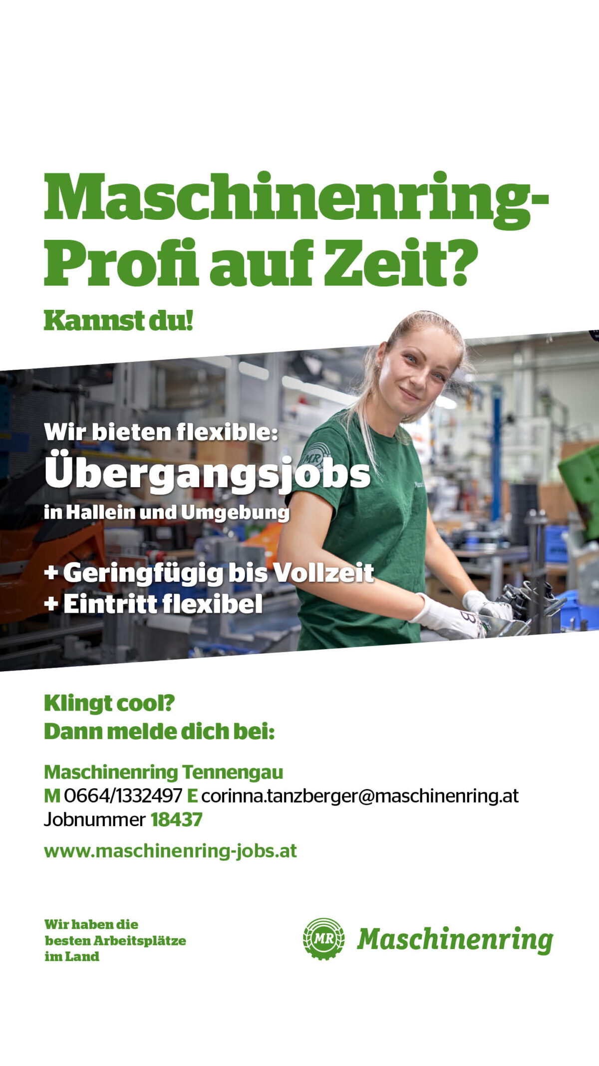 18437_Übergangsjobs_MR Tennengau_allgemein