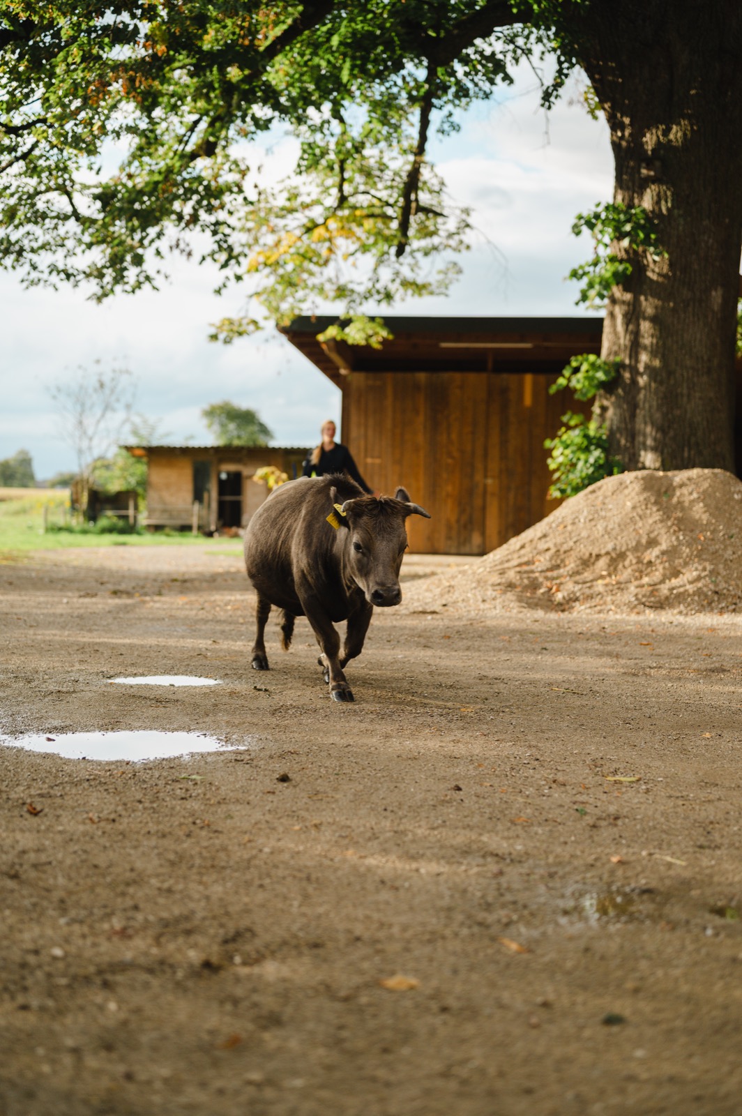 WhatsApp Image 2022-09-18 at 20.59.41 (4)