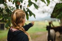 WhatsApp Image 2022-09-18 at 20.59.40