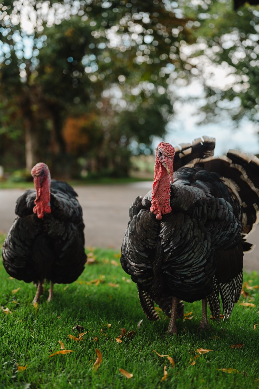 WhatsApp Image 2022-09-18 at 20.59.41