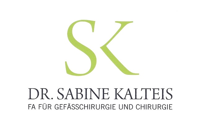 SK Logo Kopie