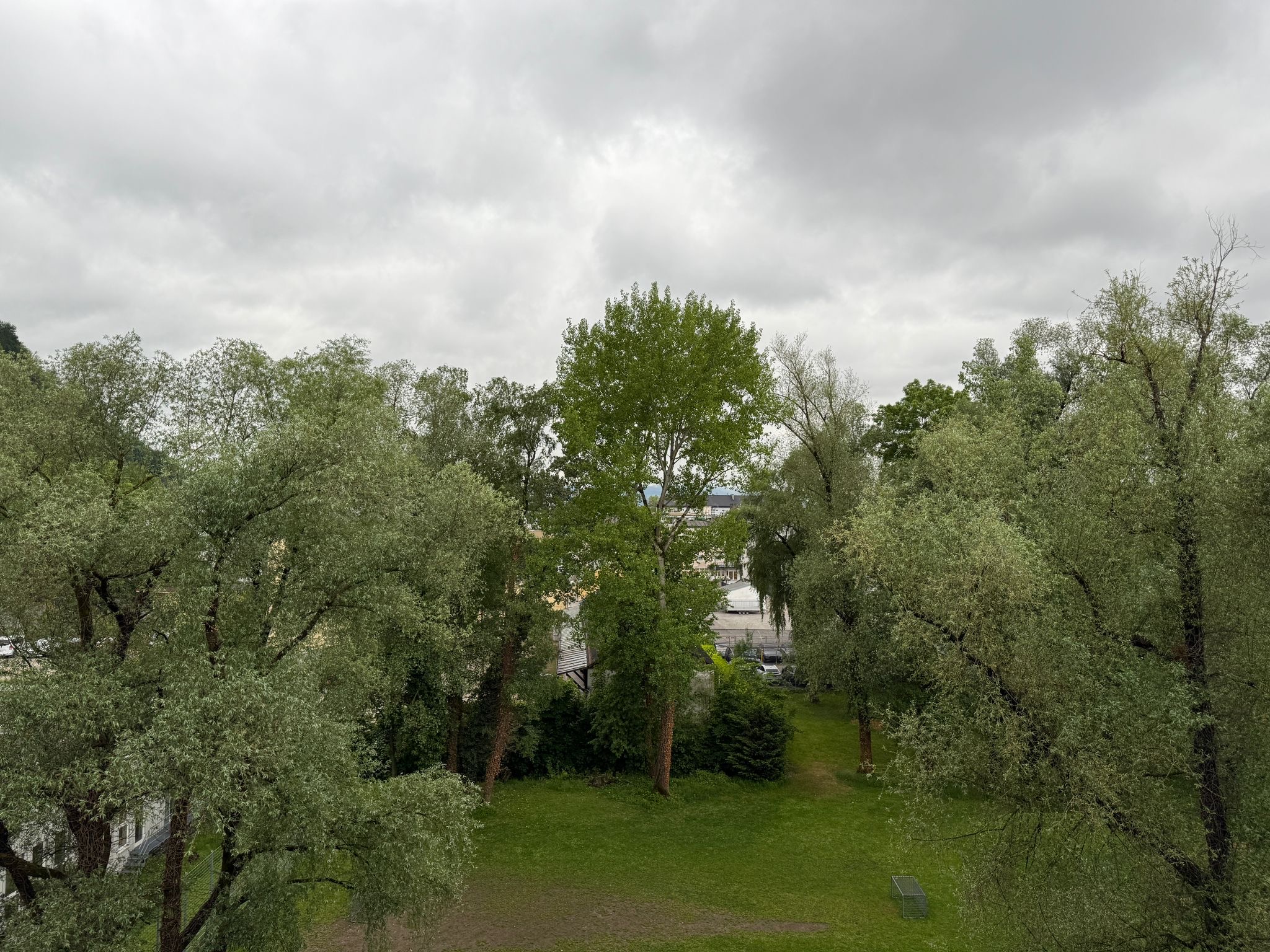 Wohnung (1)
