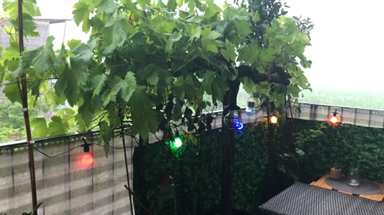 32ECF944-DA66-4600-8DFA-BF8BDF33BEFE