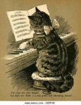 gatito tocando piano