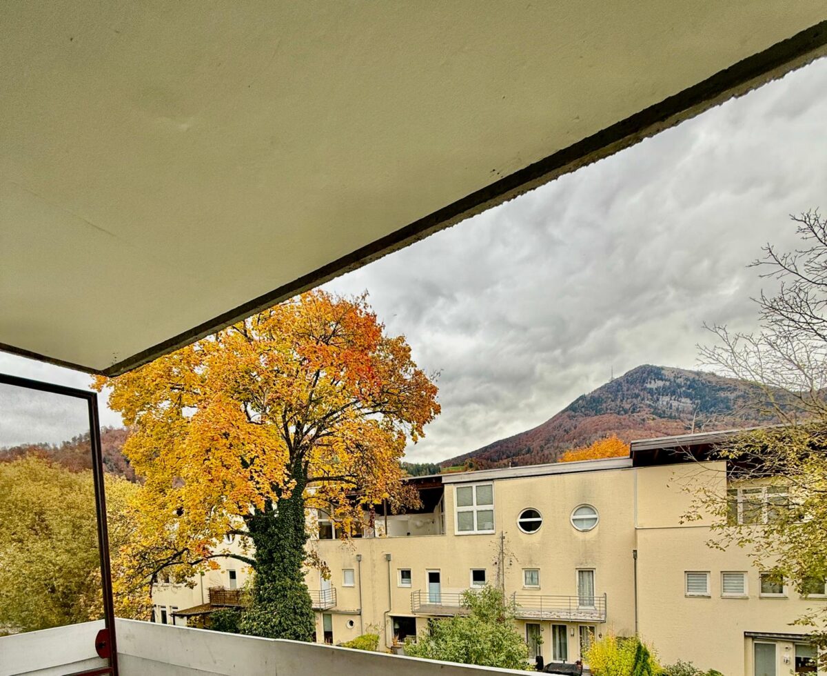 WhatsApp Image 2025-10-30 at 11.53.39