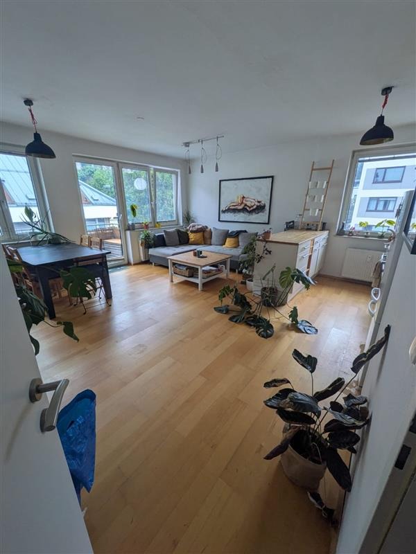 WhatsApp Image 2025-12-06 at 15.25.14