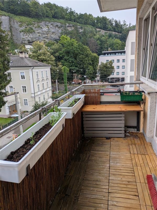 WhatsApp Image 2025-12-06 at 15.24.59