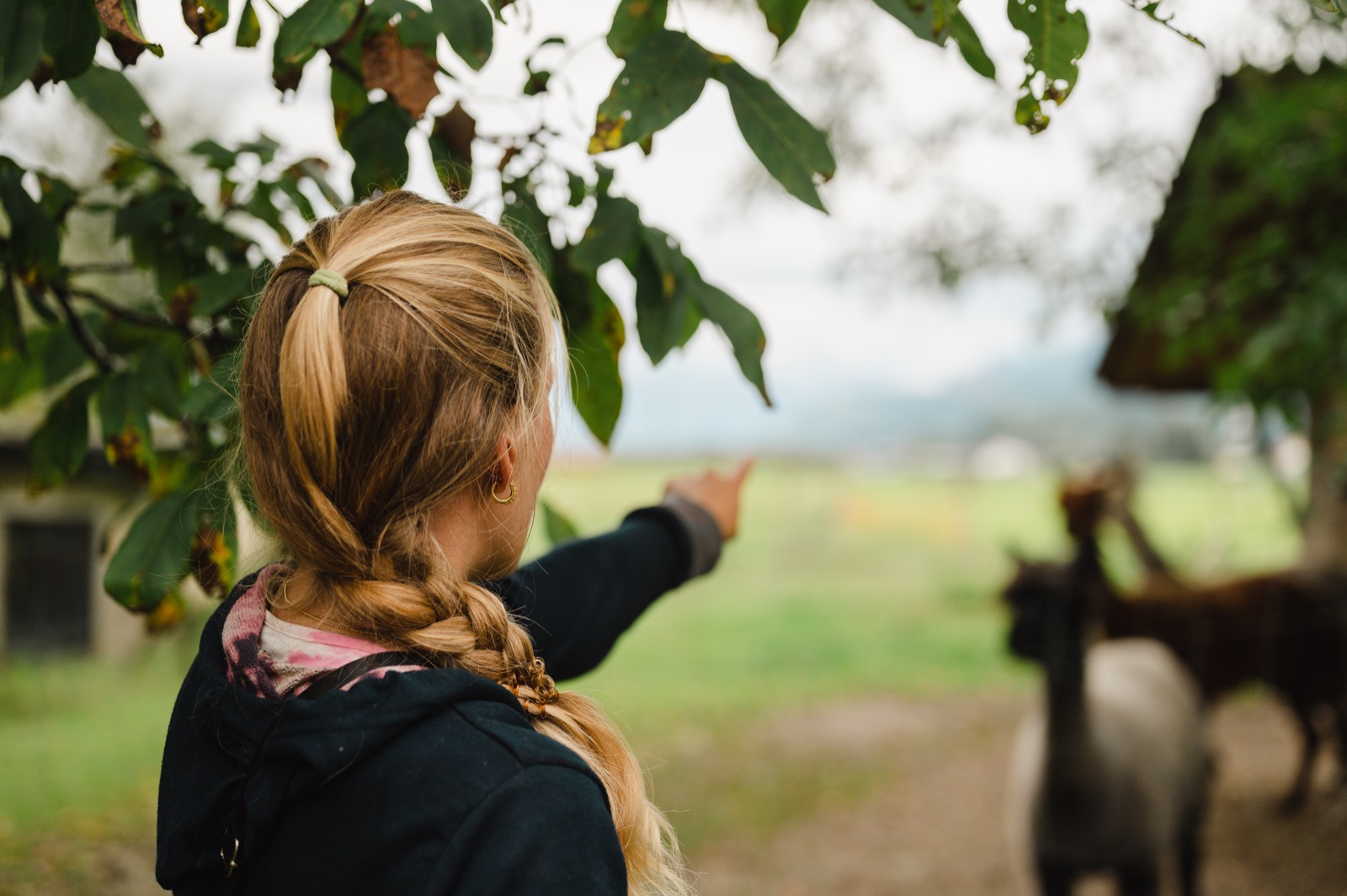 WhatsApp Image 2022-09-18 at 20.59.40