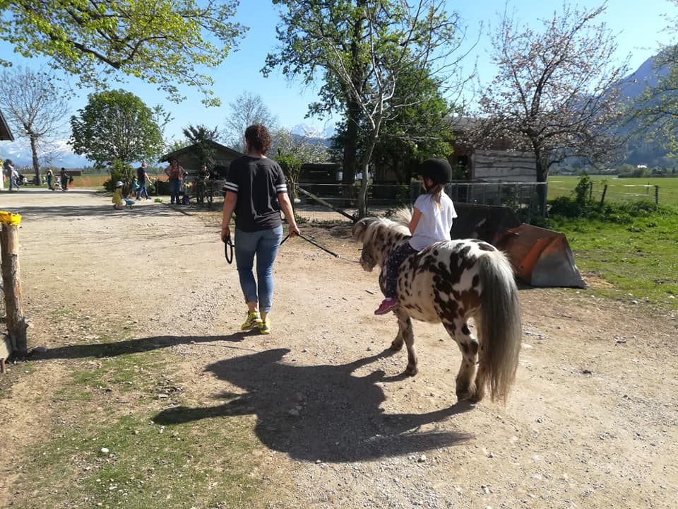 57446424_2263592737241801_607212731027685376_n