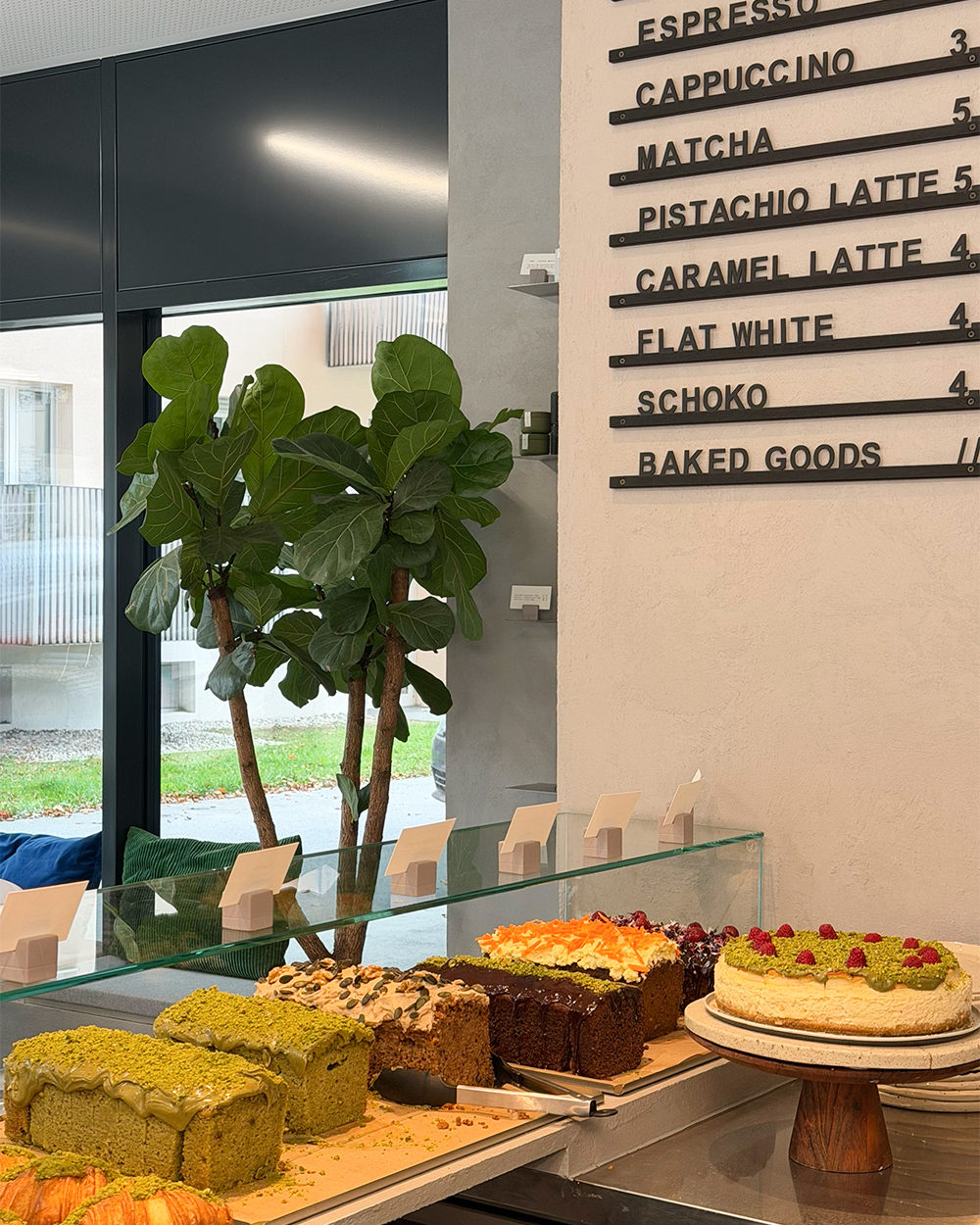 217955_0001_IMG_5462