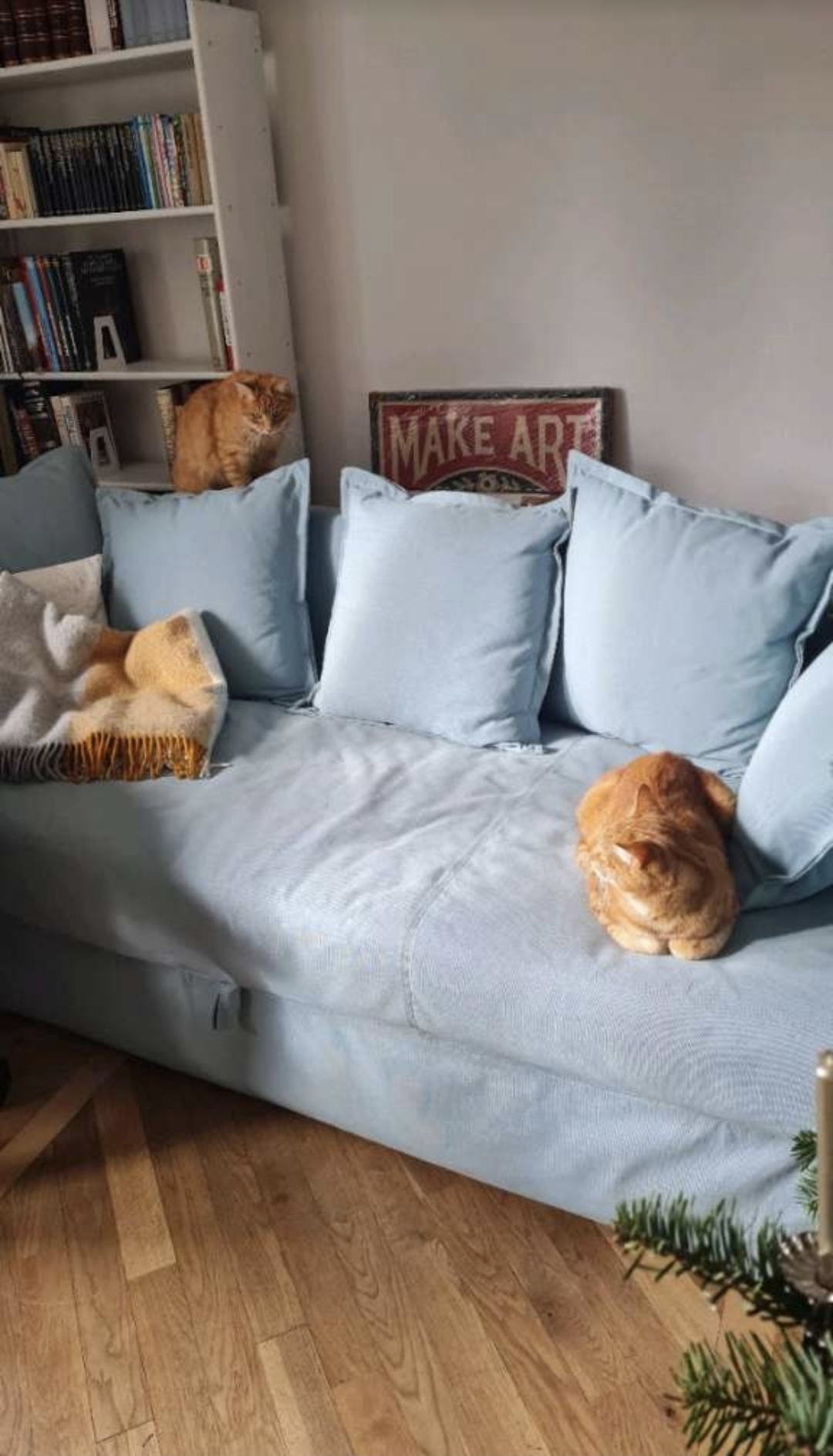 Sofa mit Katzen