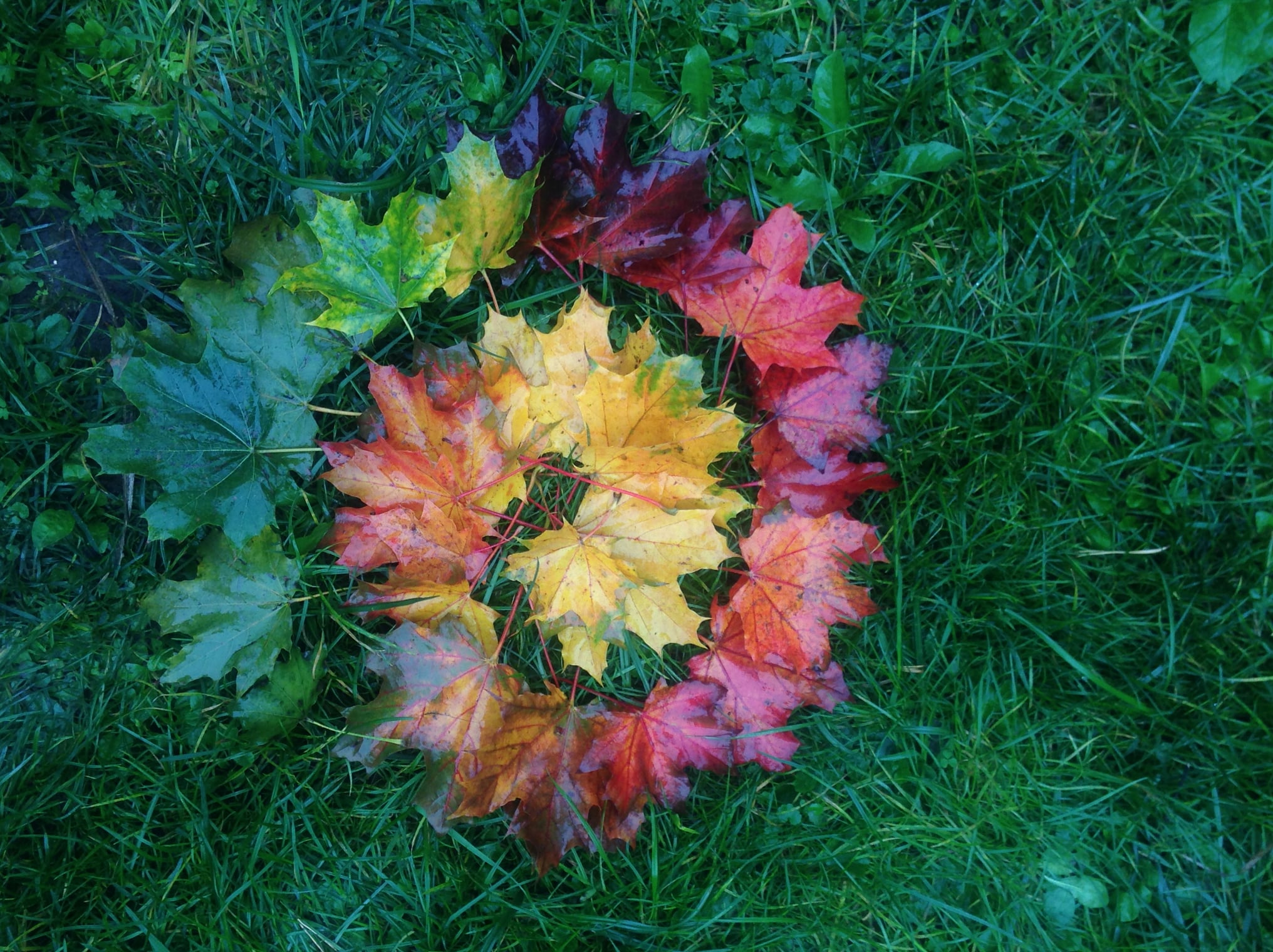 132442995_10225446167440568_7849593946891396313_n