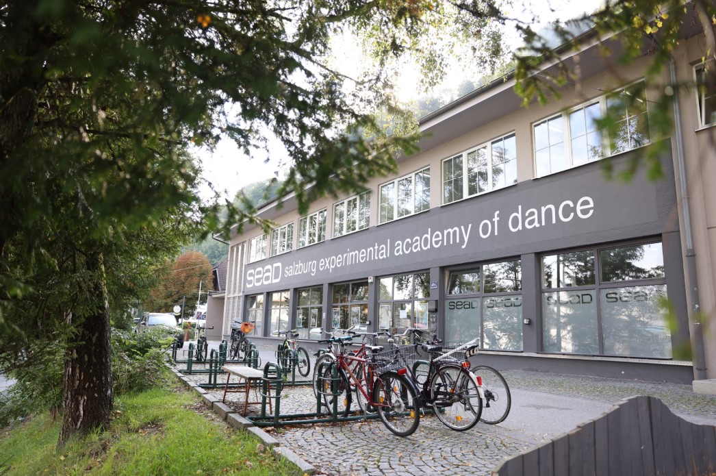 Bild SEAD aussen Jobanzeigen