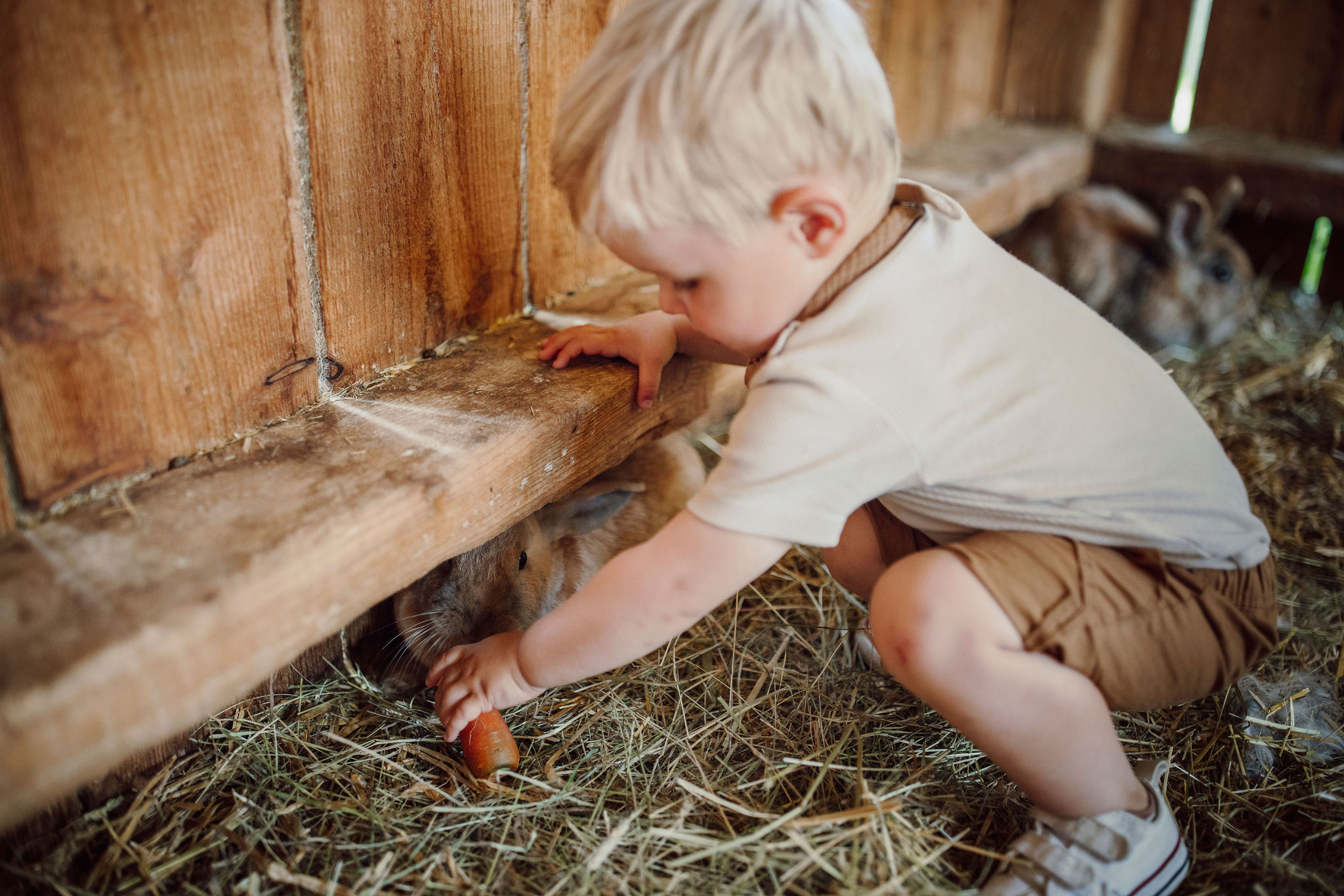 220621_lerch_mattwarter_135