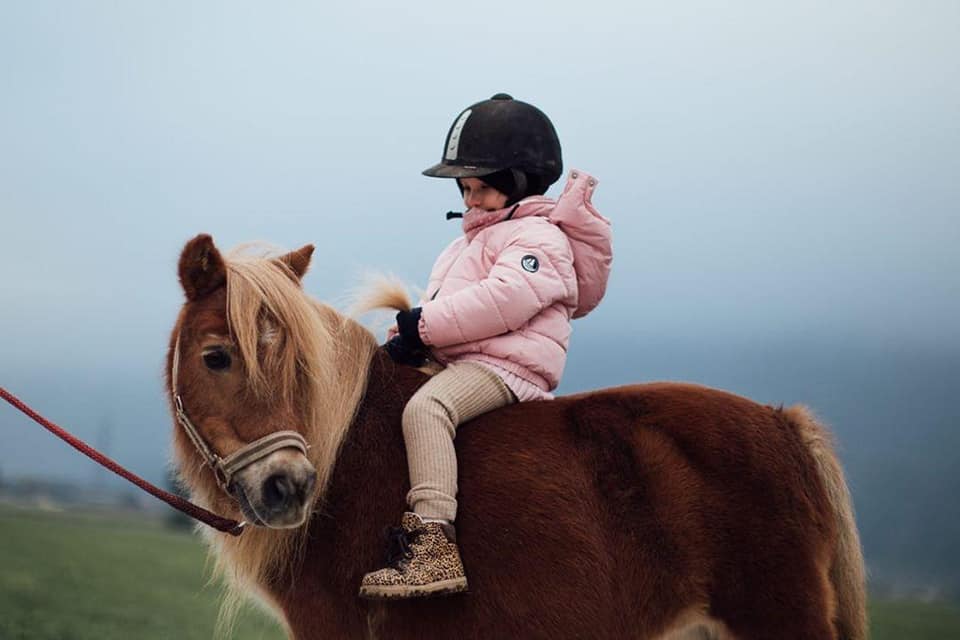 93508738_2564212327179839_5230244446733336576_n