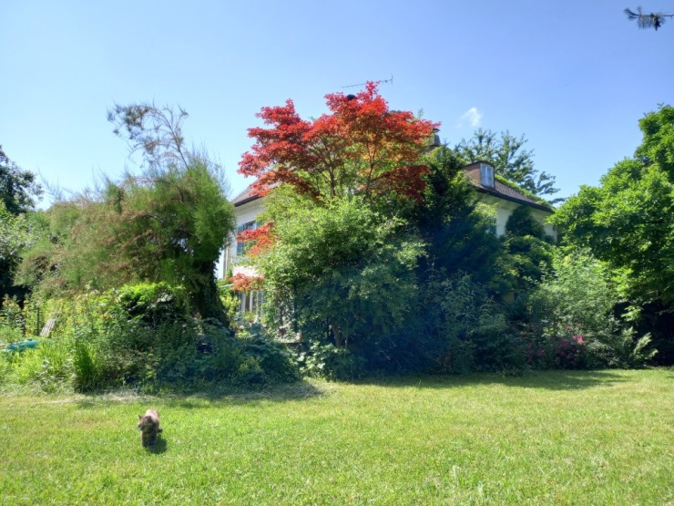 ed5bcdcda9de44831880cb48bbb1dd2b7e0a59771c0607c9528149e2029d2629_20250620_144839.sized