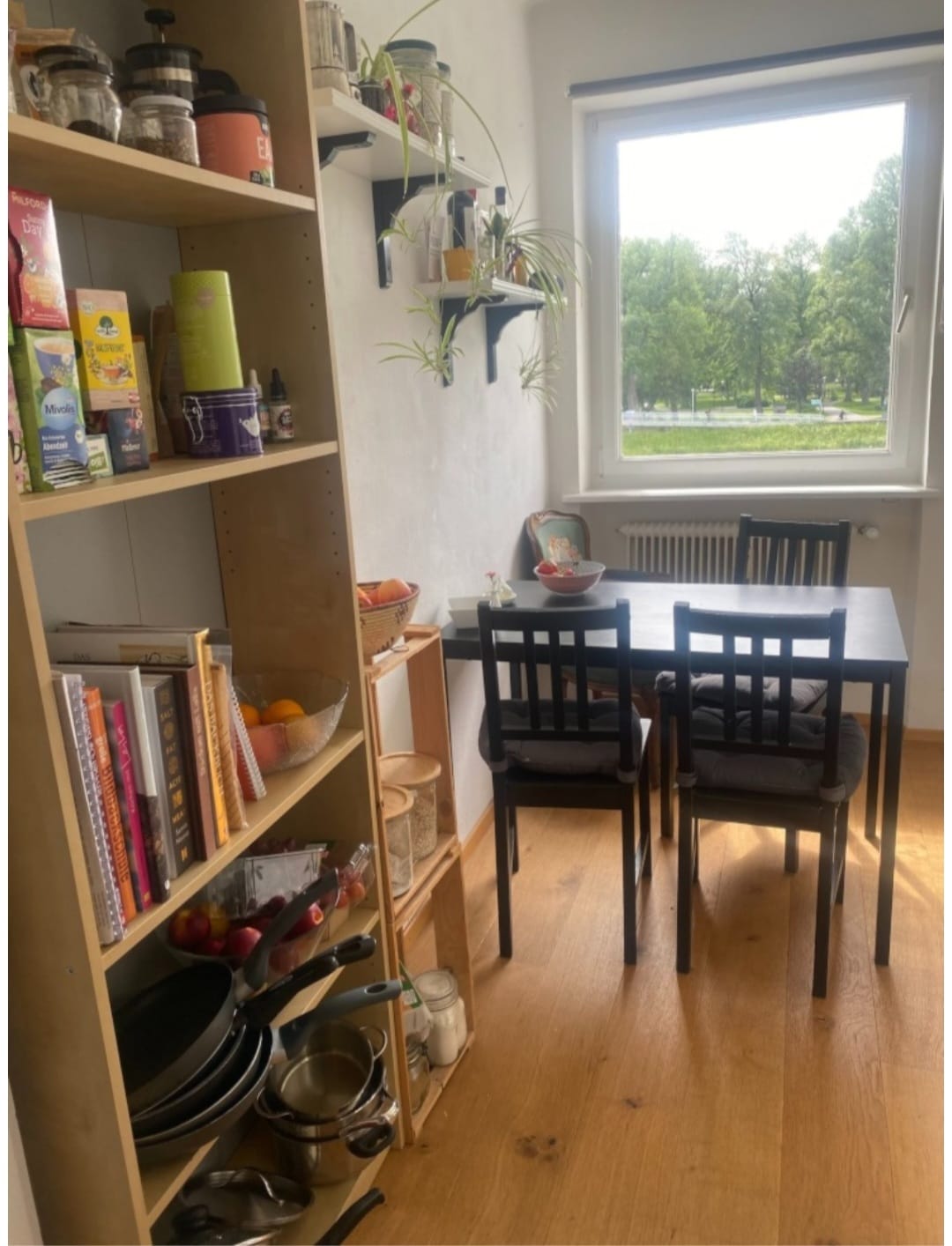 WhatsApp Image 2026-01-30 at 09.11.15 (1)