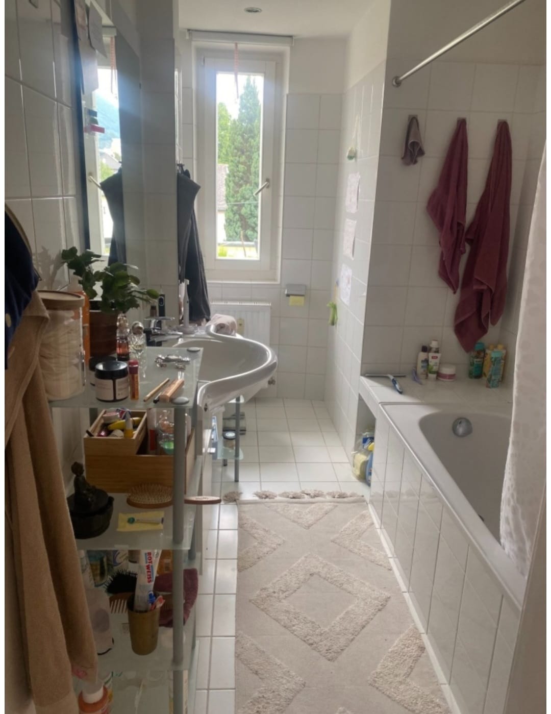 WhatsApp Image 2026-01-30 at 09.11.15 (3)