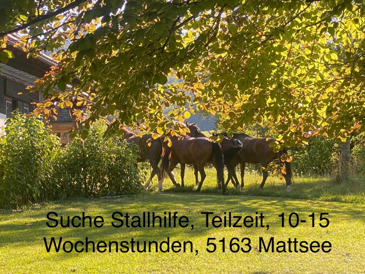 bd43e642-fdea-40fa-82ee-eebcda68ea84