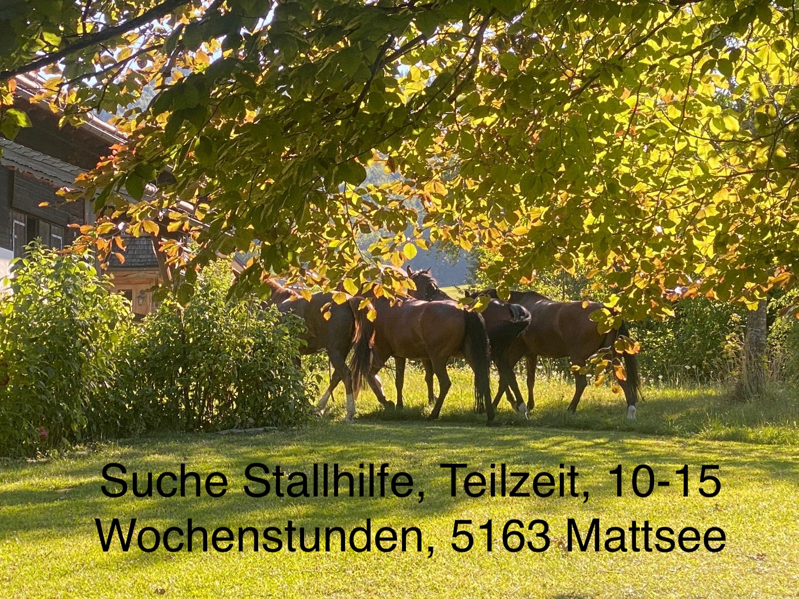 bd43e642-fdea-40fa-82ee-eebcda68ea84