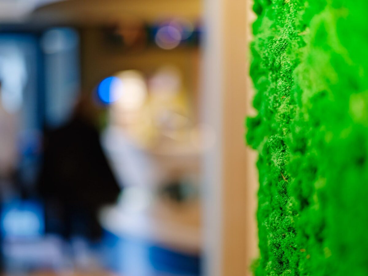 Grüne Wand mit Rec. unscharf