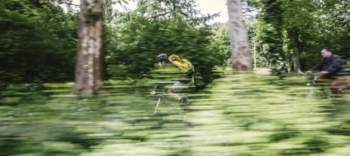 WhatsApp Image 2026-02-23 at 15.10.40