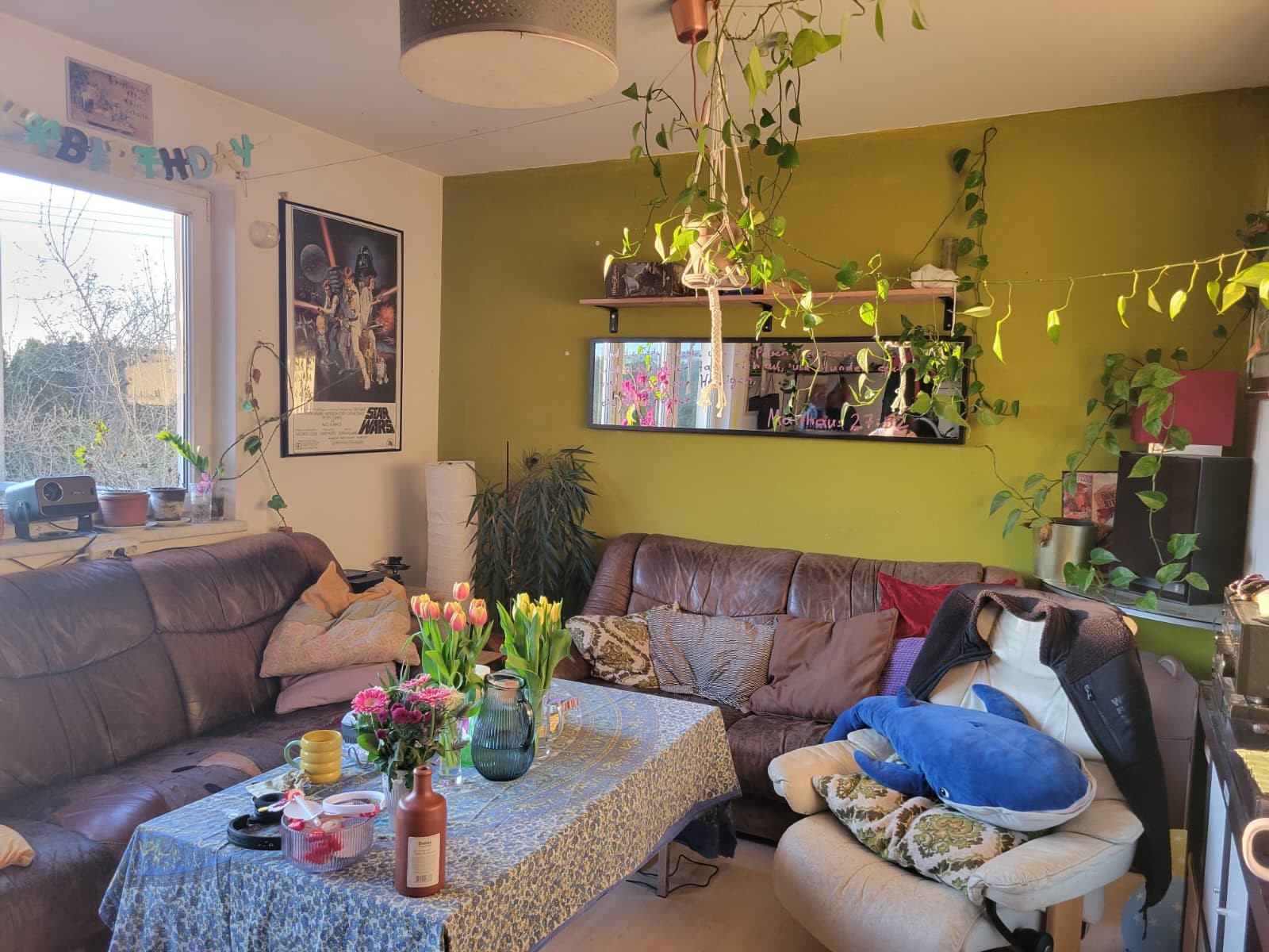 6c8e5dc8-afc4-4858-bf7e-ef7baf5bee99