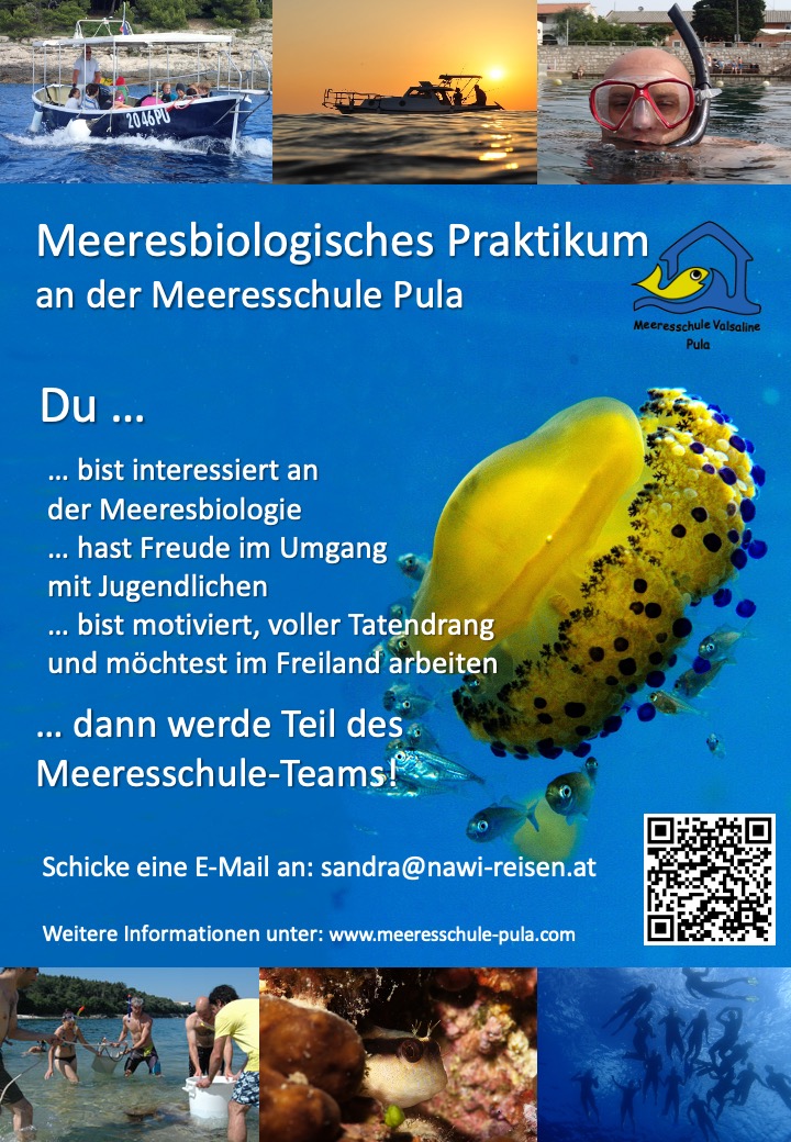 AUSHANG Praktikanten gesucht AKTUELL