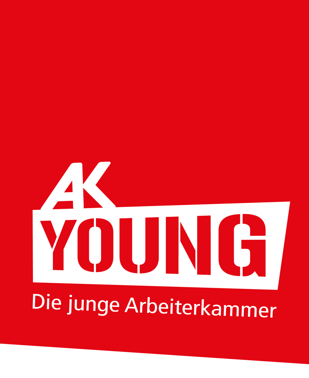 Logo-AKYoung-2024