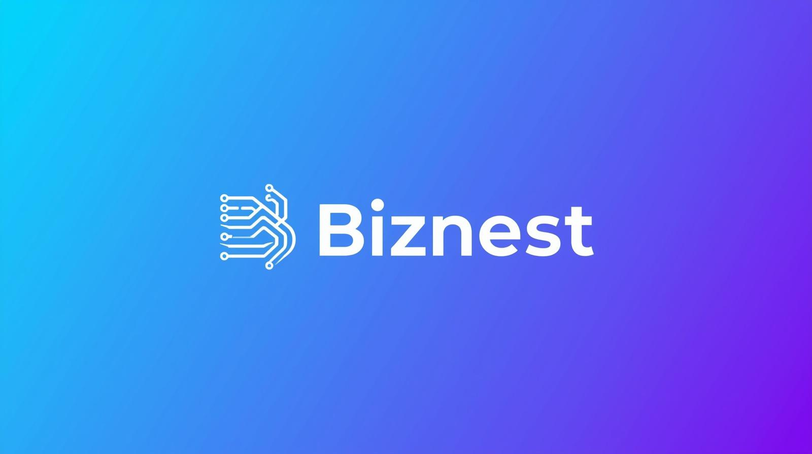 Biznest cover
