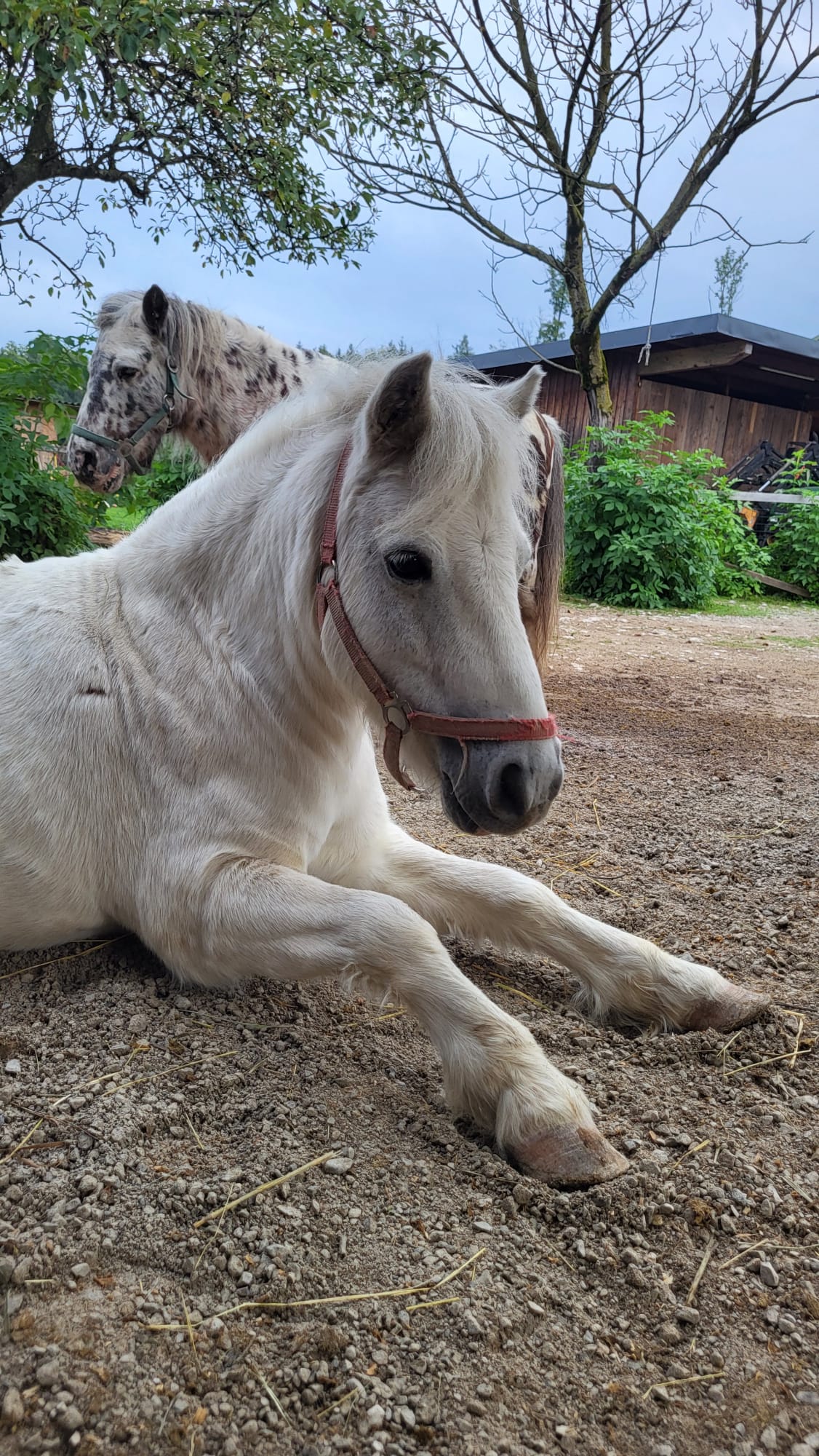 WhatsApp Image 2026-01-29 at 11.58.22