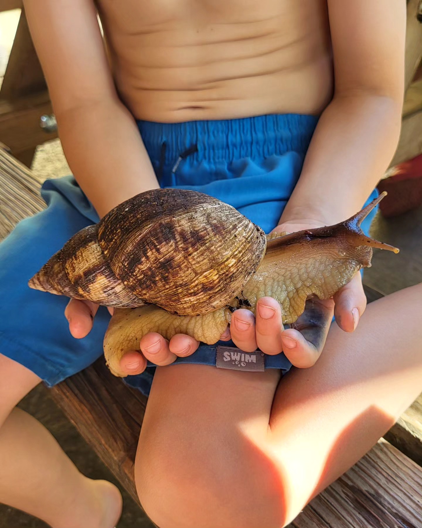 453416383_885871933585866_4776822409401480850_n