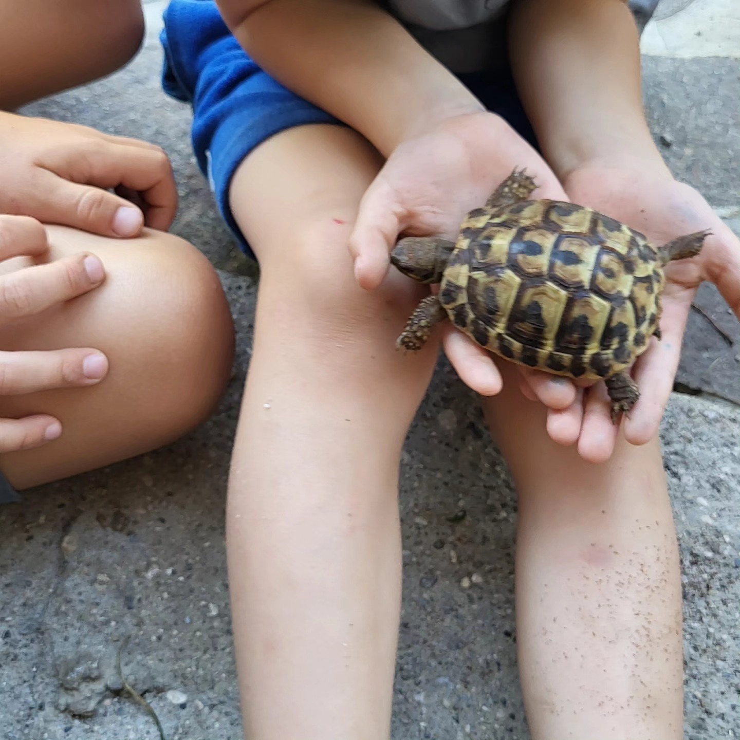 453628492_884583507048042_6840453401563829688_n