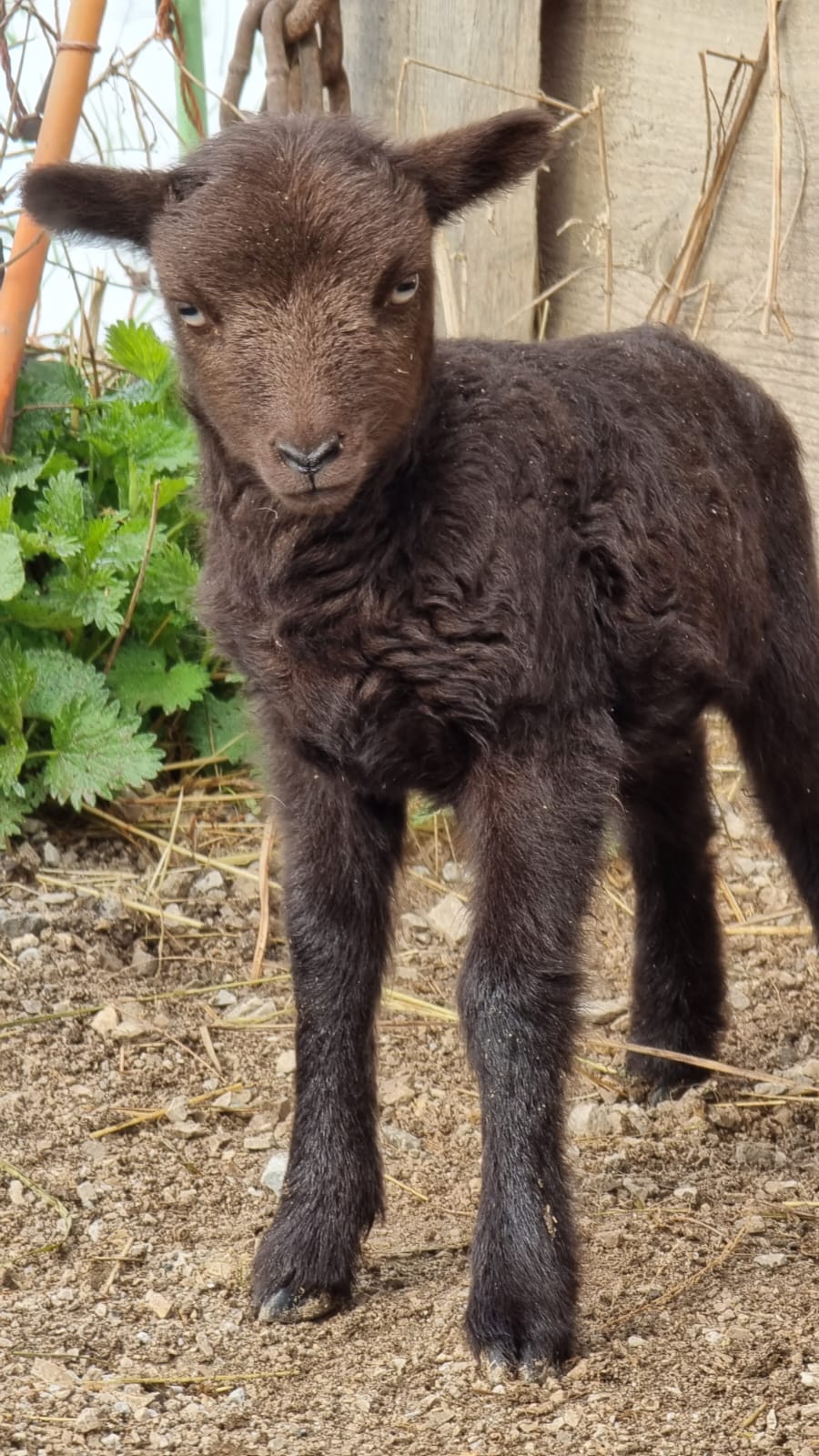 WhatsApp Image 2022-05-09 at 16.59.57 (1)