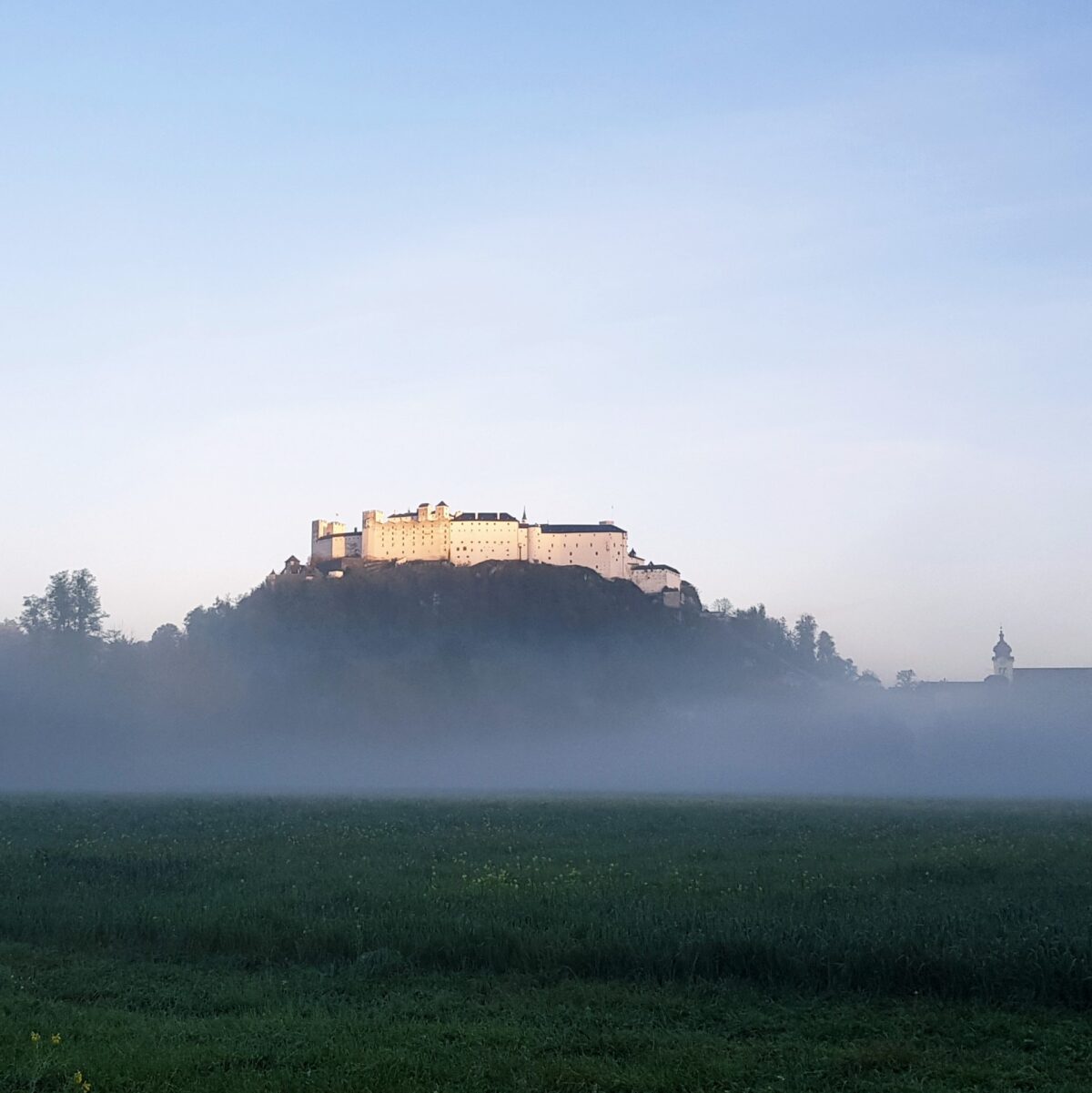 FHS Herbst_Manuel (3)