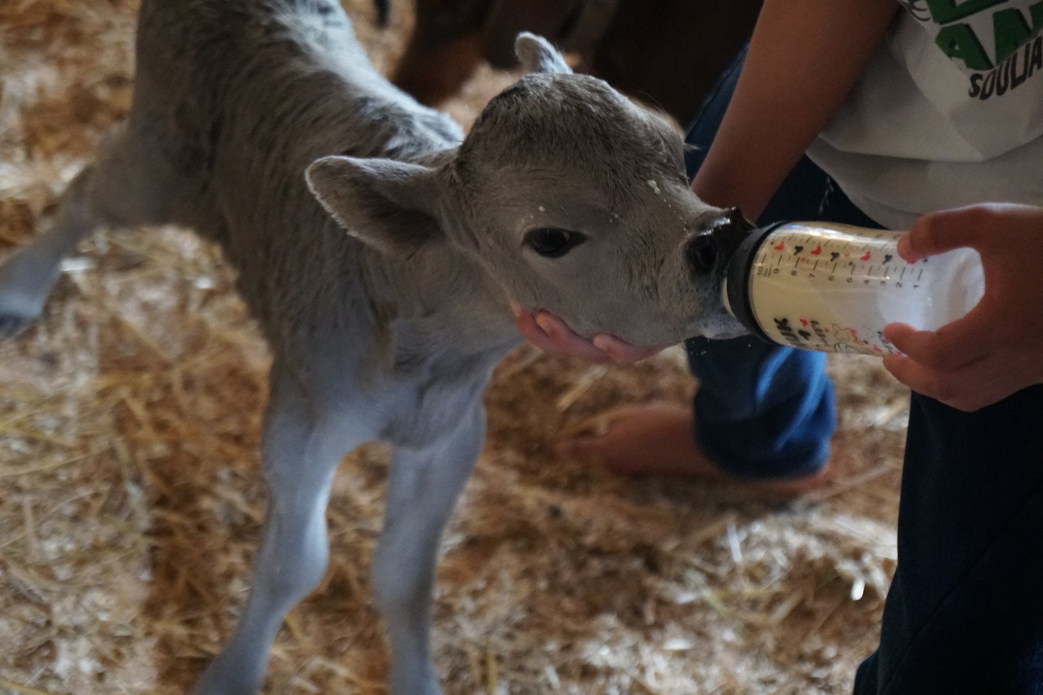 67657889_2340567962877611_2474854898638782464_o