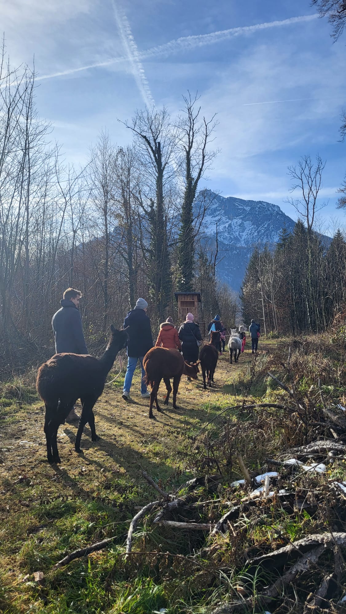 WhatsApp Image 2026-01-29 at 12.04.06