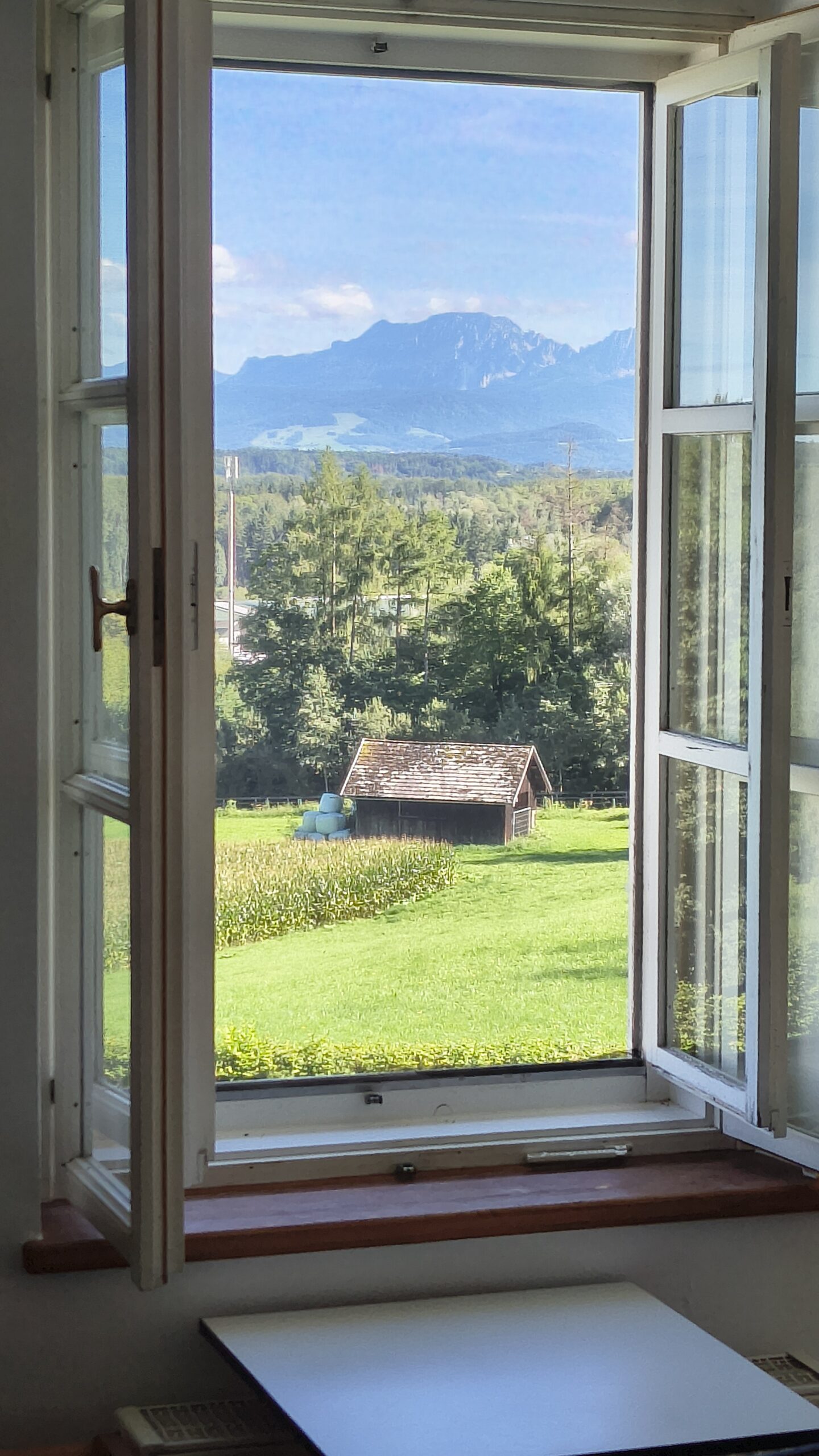 Wohnung Schloss Weitwörth (1)