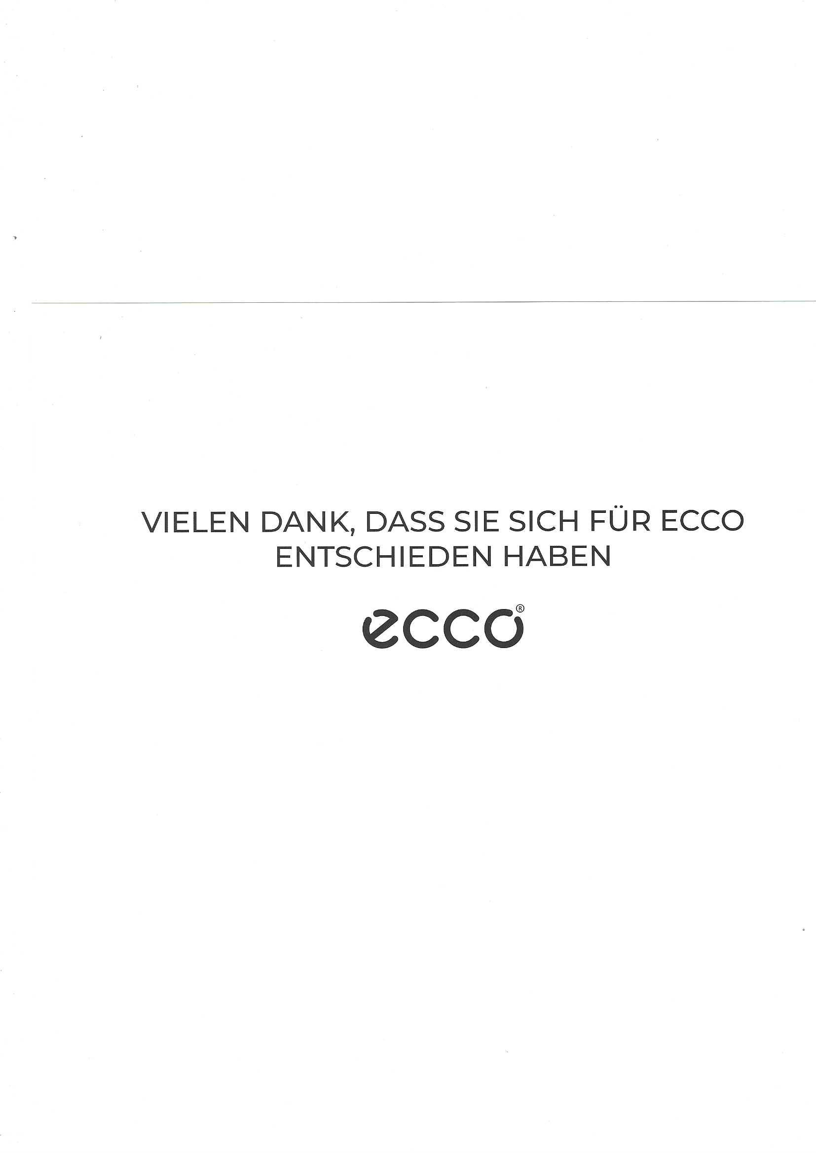 ECCO Logo 2