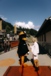 content creator - 3