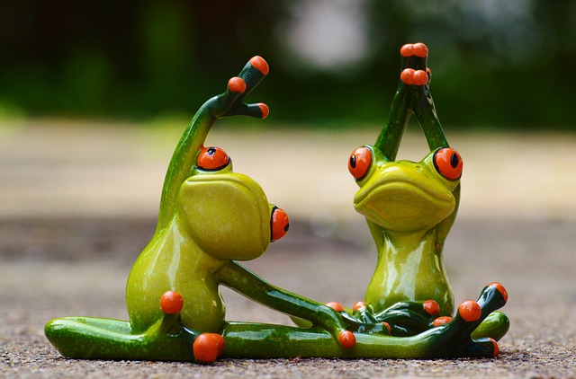 Frosch bewegung pixabay180325