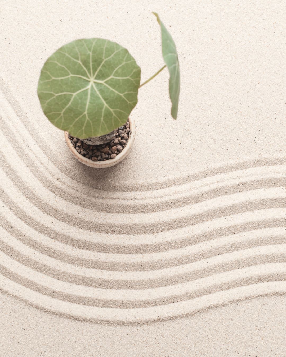Untitled design-2 copy 2