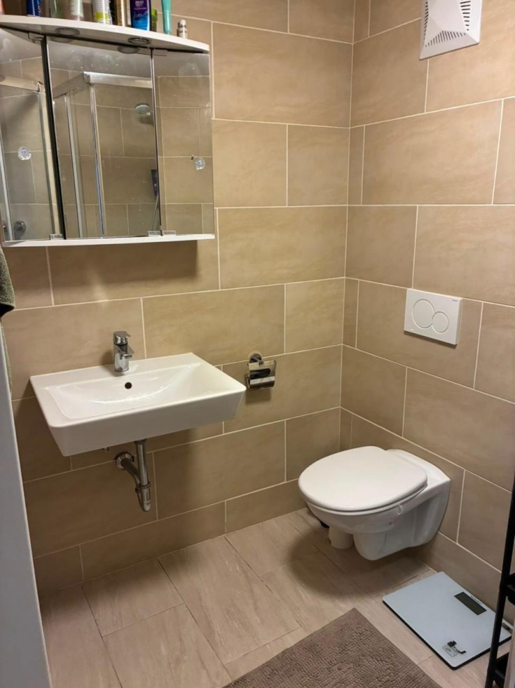 Bathroom 1 (Apartment Bärengässchen 10A)