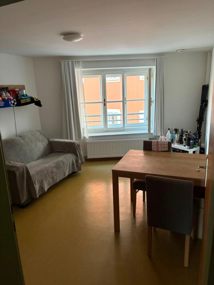 Living Room 1 (Apartment Bärengässchen 10A)