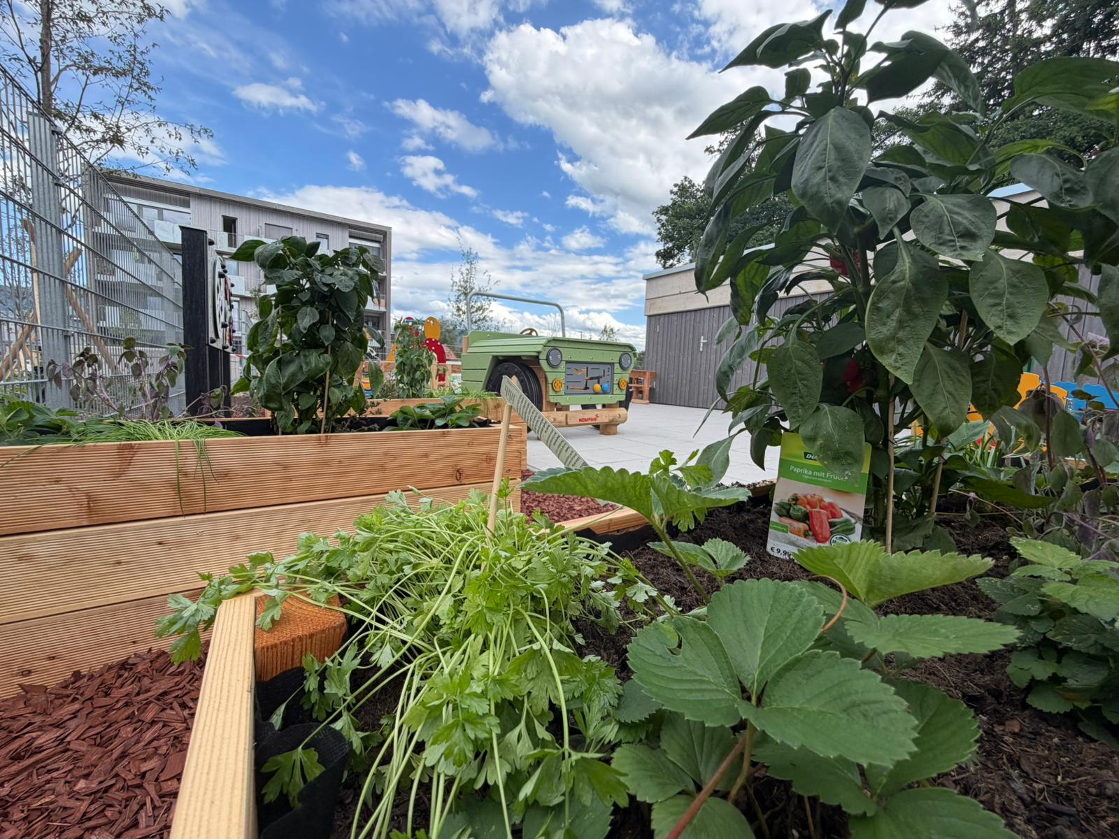 Sneak Peek in unseren Garten
