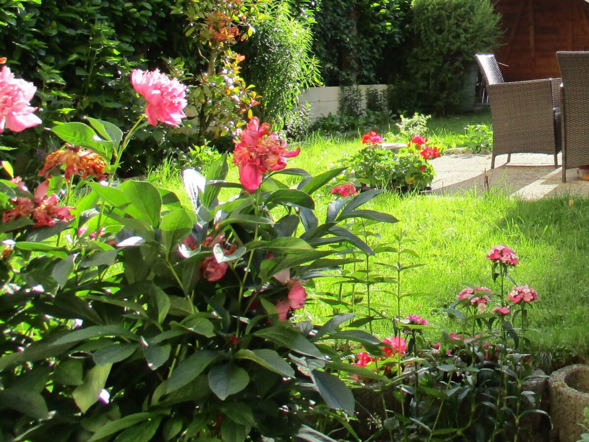 Garden 1