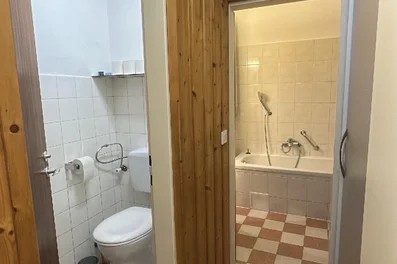 toilet and bathroom