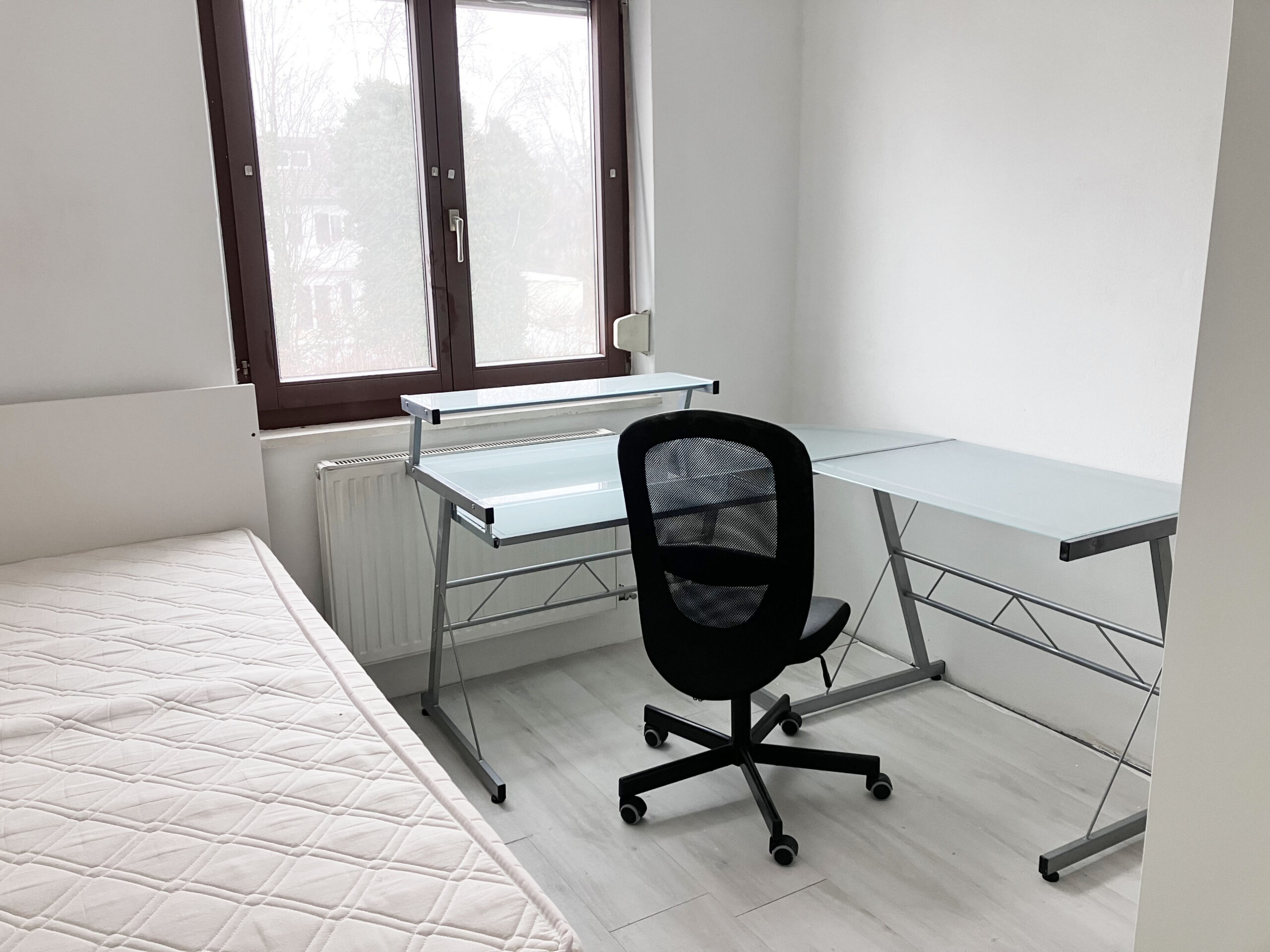 Zimmer OG 2